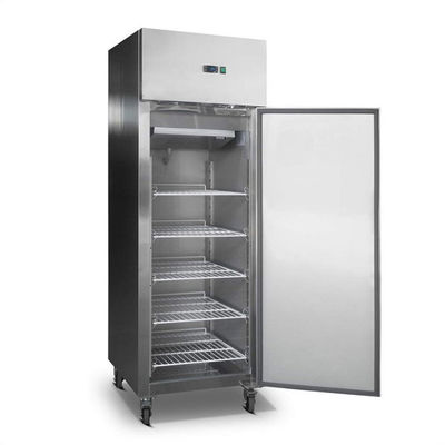 600 * 800 * 2000mm Single Door Kulkas Freezer Untuk Hotel