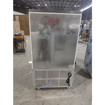 110V 60Hz 2400W 10 Pans Pendingin Kipas Blast Freezer Komersial